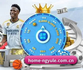 ng娱乐 APP 深度功能